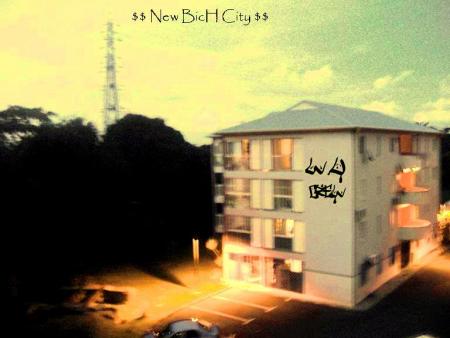 $$$==> {{ New Bich City }} <==$$$